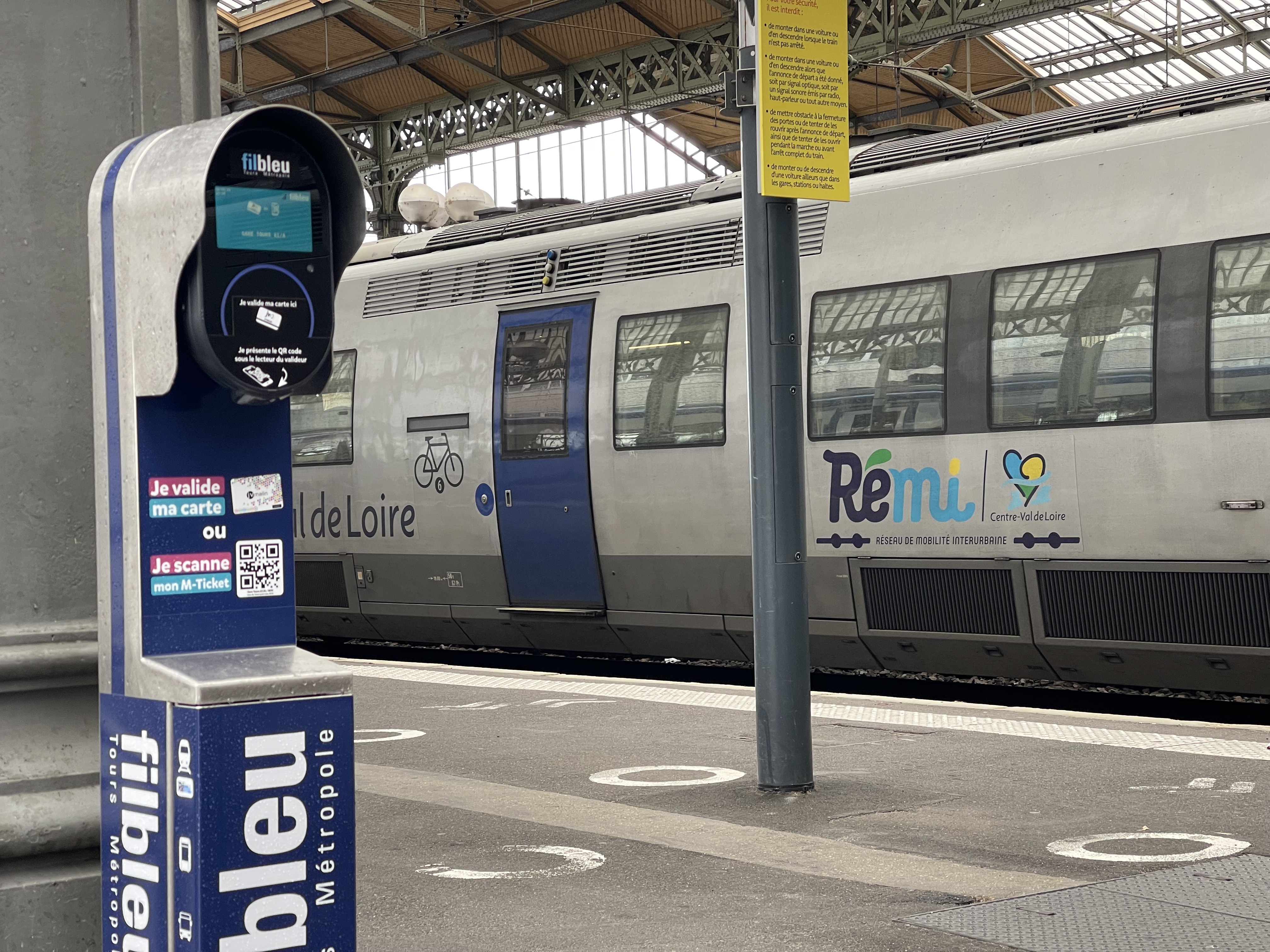 Remi x Filbleu